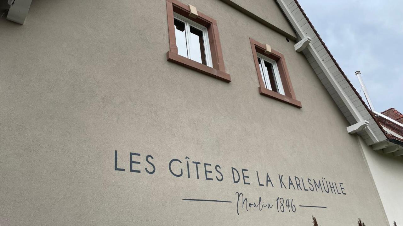 Les Gites De La Karlsmuhle Haguenau Bagian luar foto